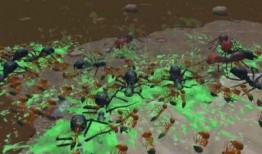 地下蚁国爆料视频最新,最新爆料视频深度解析